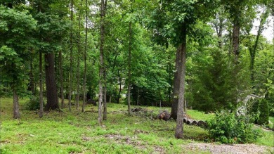 Attention outdoor lovers! These prime Bella Vista lots offer on Bella Vista Country Club and Golf Course in Arkansas - for sale on GolfHomes.com, golf home, golf lot
