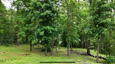Attention outdoor lovers! These prime Bella Vista lots offer on Bella Vista Country Club and Golf Course in Arkansas - for sale on GolfHomes.com, golf home, golf lot