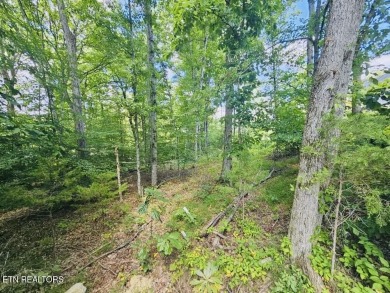 This Beautiful Vacant Land is Waiting On Your Creativity & on Tellico Village Golf Club in Tennessee - for sale on GolfHomes.com, golf home, golf lot