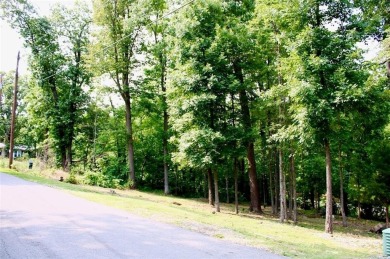 Attention outdoor lovers! These prime Bella Vista lots offer on Bella Vista Country Club and Golf Course in Arkansas - for sale on GolfHomes.com, golf home, golf lot