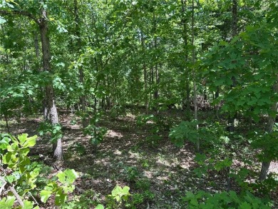 Rare find! This is your chance to own two side-by-side lots (24 on Bella Vista Country Club - Scottsdale in Arkansas - for sale on GolfHomes.com, golf home, golf lot