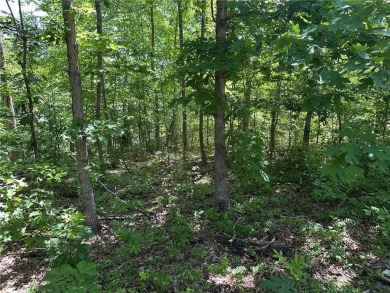 Rare find! This is your chance to own two side-by-side lots (24 on Bella Vista Country Club - Scottsdale in Arkansas - for sale on GolfHomes.com, golf home, golf lot