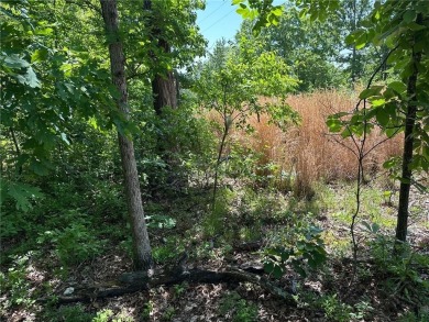 Rare find! This is your chance to own two side-by-side lots (24 on Bella Vista Country Club - Scottsdale in Arkansas - for sale on GolfHomes.com, golf home, golf lot