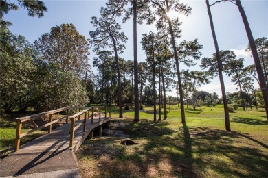 Honey Stop the Car! Don't Miss Out on this COMPLETELY REMODELED on Highland Lakes Executive Golf Course in Florida - for sale on GolfHomes.com, golf home, golf lot