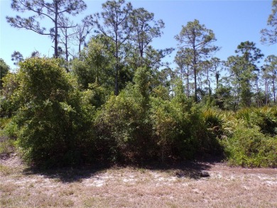 This lot is in Tropical Gulf Acres this is a great place to on Seminole Lakes Country Club in Florida - for sale on GolfHomes.com, golf home, golf lot