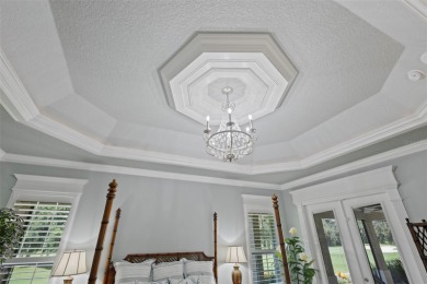 Welcome home to one of the MOST SPECTACULAR GOLF COURSE VIEWS IN on The Links of Spruce Creek in Florida - for sale on GolfHomes.com, golf home, golf lot