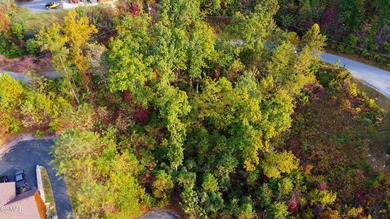 Discover the perfect canvas for your Smoky Mountains dream at on Bent Creek Golf Course in Tennessee - for sale on GolfHomes.com, golf home, golf lot