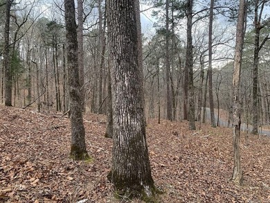 RETIREMENT COMMUNITY AND MORE.....Golf everyday if you want on  in Arkansas - for sale on GolfHomes.com, golf home, golf lot