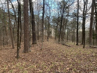 RETIREMENT COMMUNITY AND MORE.....Golf everyday if you want on  in Arkansas - for sale on GolfHomes.com, golf home, golf lot