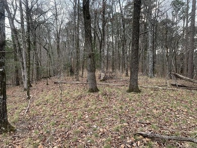 RETIREMENT COMMUNITY AND MORE.....Golf everyday if you want on  in Arkansas - for sale on GolfHomes.com, golf home, golf lot