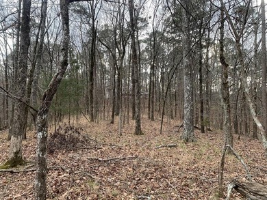 RETIREMENT COMMUNITY AND MORE.....Golf everyday if you want on  in Arkansas - for sale on GolfHomes.com, golf home, golf lot