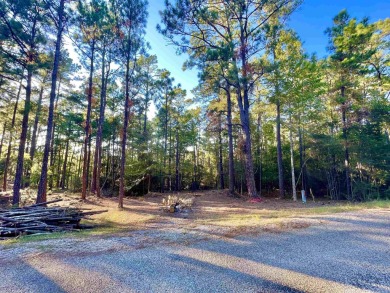 This lot is located close to the club house, golf course and on Rayburn Country Club in Texas - for sale on GolfHomes.com, golf home, golf lot