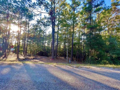This lot is located close to the club house, golf course and on Rayburn Country Club in Texas - for sale on GolfHomes.com, golf home, golf lot