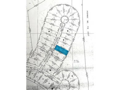 This lot is located close to the club house, golf course and on Rayburn Country Club in Texas - for sale on GolfHomes.com, golf home, golf lot