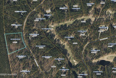 Discover an unparalleled opportunity at 855 Lake Dornoch Drive on Country Club of North Carolina in North Carolina - for sale on GolfHomes.com, golf home, golf lot