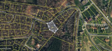 Discover the perfect place to build your dream home on this on Baneberry Golf and Resort Club in Tennessee - for sale on GolfHomes.com, golf home, golf lot