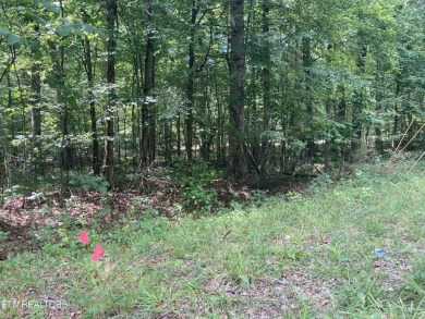 Discover the perfect place to build your dream home on this on Baneberry Golf and Resort Club in Tennessee - for sale on GolfHomes.com, golf home, golf lot