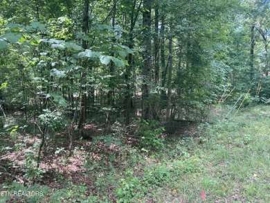 Discover the perfect place to build your dream home on this on Baneberry Golf and Resort Club in Tennessee - for sale on GolfHomes.com, golf home, golf lot