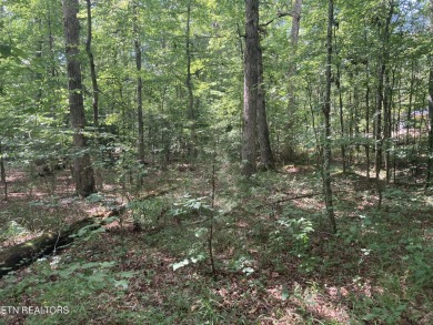 Discover the perfect place to build your dream home on this on Baneberry Golf and Resort Club in Tennessee - for sale on GolfHomes.com, golf home, golf lot