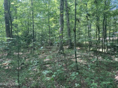 Discover the perfect place to build your dream home on this on Baneberry Golf and Resort Club in Tennessee - for sale on GolfHomes.com, golf home, golf lot