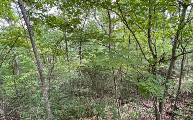 NORTH CAROLINA MOUNTAIN LOT!! This beautifully wooded 2.24 acre on Mountain Harbour Golf Club in North Carolina - for sale on GolfHomes.com, golf home, golf lot