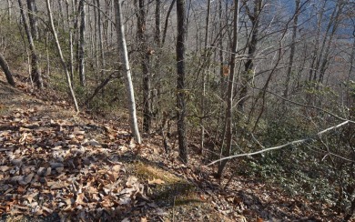 NORTH CAROLINA MOUNTAIN LOT!! This beautifully wooded 2.24 acre on Mountain Harbour Golf Club in North Carolina - for sale on GolfHomes.com, golf home, golf lot
