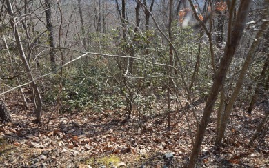NORTH CAROLINA MOUNTAIN LOT!! This beautifully wooded 2.24 acre on Mountain Harbour Golf Club in North Carolina - for sale on GolfHomes.com, golf home, golf lot
