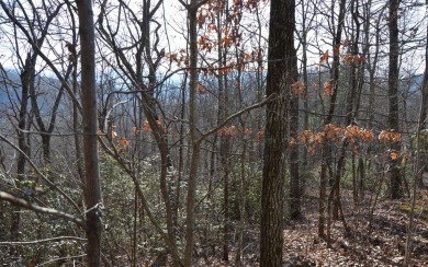 NORTH CAROLINA MOUNTAIN LOT!! This beautifully wooded 2.24 acre on Mountain Harbour Golf Club in North Carolina - for sale on GolfHomes.com, golf home, golf lot