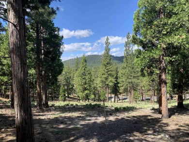 Beautifully treed, downsloping 1.00 acre homesite with stunning on Grizzly Ranch Golf Club in California - for sale on GolfHomes.com, golf home, golf lot