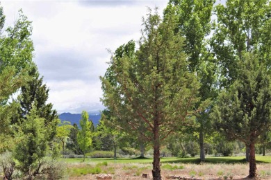 Gorgeous oversized Mt Shasta View Golf Course lot. Level and on Lake Shastina Golf Course in California - for sale on GolfHomes.com, golf home, golf lot
