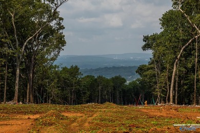 AWESOME LOT w/ PAID CAPITALIZATION FEE & ARCHITECTUAL PLANS-Come on The Ledges Country Club in Alabama - for sale on GolfHomes.com, golf home, golf lot