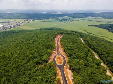 AWESOME LOT w/ PAID CAPITALIZATION FEE & ARCHITECTUAL PLANS-Come on The Ledges Country Club in Alabama - for sale on GolfHomes.com, golf home, golf lot