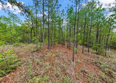This 4.417 acre tract is only minutes from Lake Sam Rayburn on Rayburn Country Club in Texas - for sale on GolfHomes.com, golf home, golf lot
