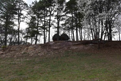 Experience the casual lifestyle of golf course living in this on Indian Hills Country Club in Arkansas - for sale on GolfHomes.com, golf home, golf lot