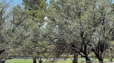 Beautiful 1,934 sq. ft. 3 bedroom, 2 bath, home located on the on Pueblo Del Sol Country Club in Arizona - for sale on GolfHomes.com, golf home, golf lot
