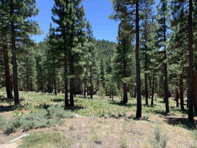 Beautifully treed, gently downsloping .74 acre homesite with on Grizzly Ranch Golf Club in California - for sale on GolfHomes.com, golf home, golf lot