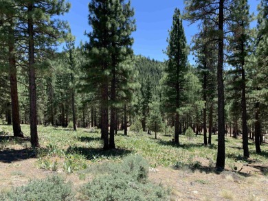 Beautifully treed, gently downsloping .74 acre homesite with on Grizzly Ranch Golf Club in California - for sale on GolfHomes.com, golf home, golf lot