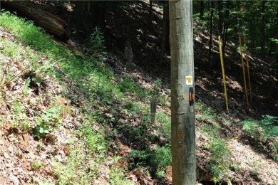 ***SOIL TEST ON FILE by APPALACHAIN SOIL, INC.*** Welcome to on Bent Tree Golf Course in Georgia - for sale on GolfHomes.com, golf home, golf lot