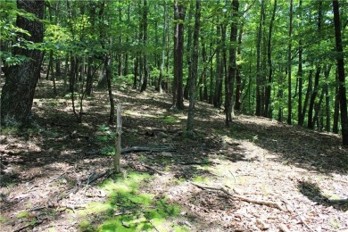 ***SOIL TEST ON FILE by APPALACHAIN SOIL, INC.*** Welcome to on Bent Tree Golf Course in Georgia - for sale on GolfHomes.com, golf home, golf lot