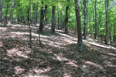***SOIL TEST ON FILE by APPALACHAIN SOIL, INC.*** Welcome to on Bent Tree Golf Course in Georgia - for sale on GolfHomes.com, golf home, golf lot