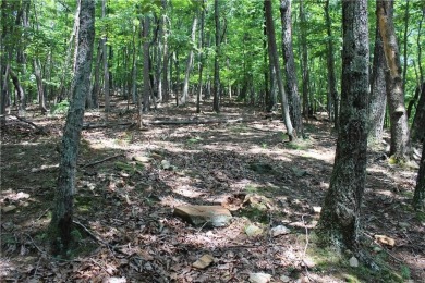 ***SOIL TEST ON FILE by APPALACHAIN SOIL, INC.*** Welcome to on Bent Tree Golf Course in Georgia - for sale on GolfHomes.com, golf home, golf lot