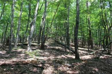***SOIL TEST ON FILE by APPALACHAIN SOIL, INC.*** Welcome to on Bent Tree Golf Course in Georgia - for sale on GolfHomes.com, golf home, golf lot