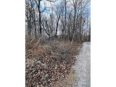 Gorgeous view from 1.02 acre corner lot overlooking Jones Valley on The Ledges Country Club in Alabama - for sale on GolfHomes.com, golf home, golf lot