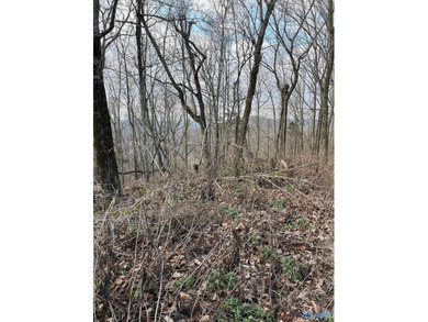 Gorgeous view from 1.02 acre corner lot overlooking Jones Valley on The Ledges Country Club in Alabama - for sale on GolfHomes.com, golf home, golf lot