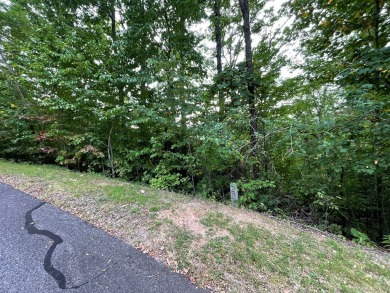 Amazing building lot with the long range mountain views you've on Mountain Harbour Golf Club in North Carolina - for sale on GolfHomes.com, golf home, golf lot