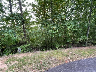 Amazing building lot with the long range mountain views you've on Mountain Harbour Golf Club in North Carolina - for sale on GolfHomes.com, golf home, golf lot