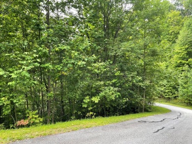 Amazing building lot with the long range mountain views you've on Mountain Harbour Golf Club in North Carolina - for sale on GolfHomes.com, golf home, golf lot