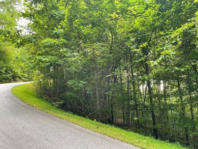 Amazing building lot with the long range mountain views you've on Mountain Harbour Golf Club in North Carolina - for sale on GolfHomes.com, golf home, golf lot