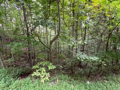 Amazing building lot with the long range mountain views you've on Mountain Harbour Golf Club in North Carolina - for sale on GolfHomes.com, golf home, golf lot