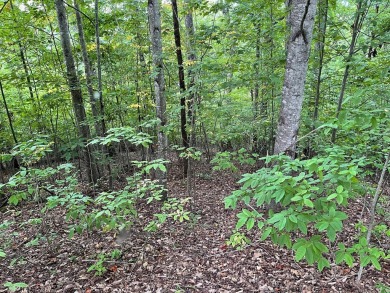 Amazing building lot with the long range mountain views you've on Mountain Harbour Golf Club in North Carolina - for sale on GolfHomes.com, golf home, golf lot